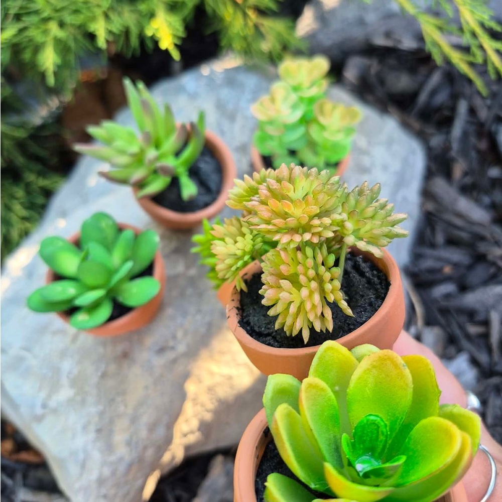 Set of 6 Mini Artificial Succulents in Real Terracotta Pots Miniature Decor